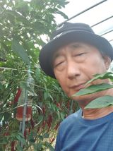 팜모닝 O학년 △반 이세요?·참여글 게시글 이미지