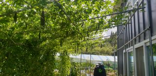 밤까시 여주농장님의 O학년 △반 이세요? · 참여글 작성글 사진