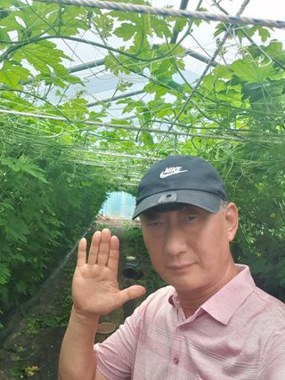 밤까시 여주농장님의 O학년 △반 이세요? · 참여글 작성글 사진