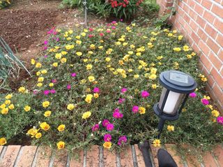 김은숙님의 O학년 △반 이세요? · 참여글 작성글 사진