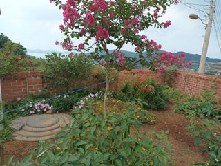 김은숙님의 O학년 △반 이세요? · 참여글 작성글 사진