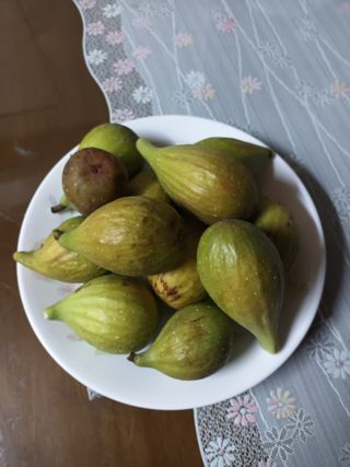 김은숙님의 O학년 △반 이세요? · 참여글 작성글 사진