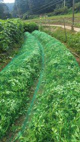 팜모닝 기타작물·자유게시판 게시글 이미지