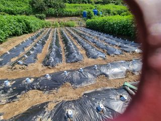 방천수님의 O학년 △반 이세요? · 참여글 작성글 사진