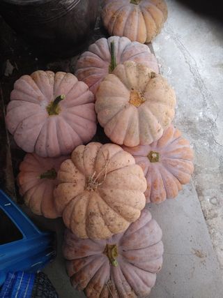 방천수님의 O학년 △반 이세요? · 참여글 작성글 사진