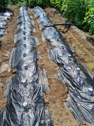 방천수님의 O학년 △반 이세요? · 참여글 작성글 사진