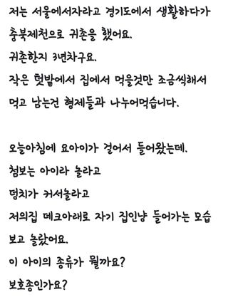 신지숙님의 O학년 △반 이세요? · 참여글 작성글 사진
