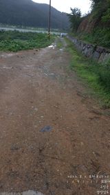 팜모닝 배·일상 게시글 이미지