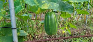 신지숙님의 O학년 △반 이세요? · 참여글 작성글 사진