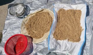 신지숙님의 O학년 △반 이세요? · 참여글 작성글 사진