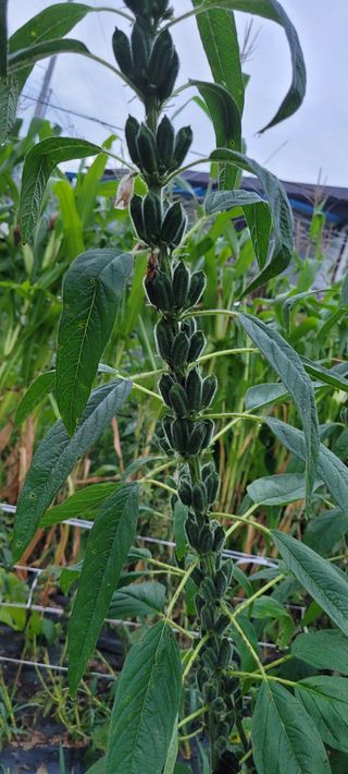 신지숙님의 O학년 △반 이세요? · 참여글 작성글 사진