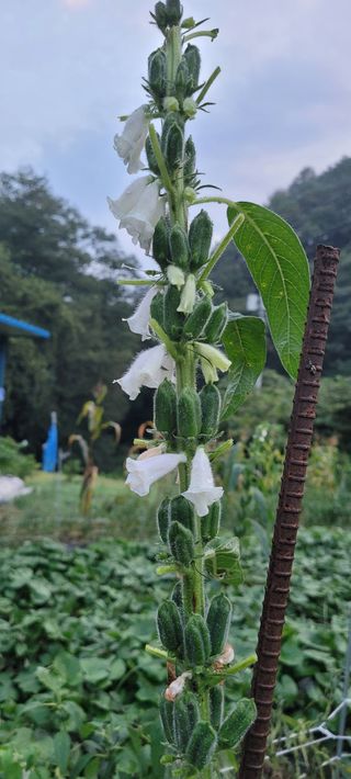 신지숙님의 O학년 △반 이세요? · 참여글 작성글 사진