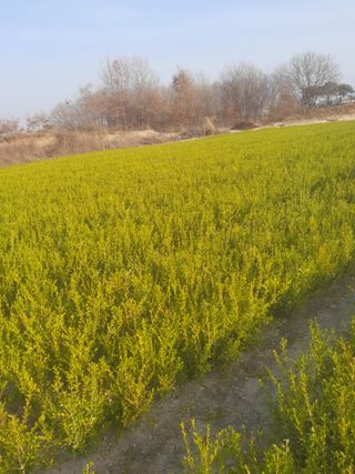 강명선님의 O학년 △반 이세요? · 참여글 작성글 사진