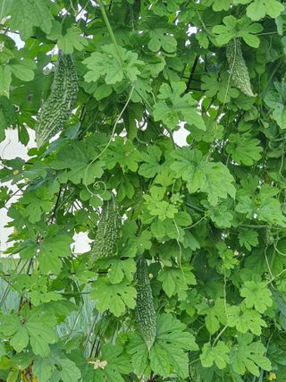 차상철님의 기타작물 · 자유게시판 작성글 사진