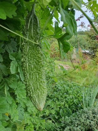 차상철님의 기타작물 · 자유게시판 작성글 사진