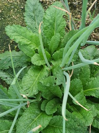 차상철님의 기타작물 · 자유게시판 작성글 사진