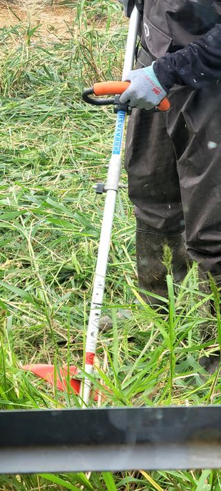 행복농장님의 자유주제 · 자유게시판 작성글 사진