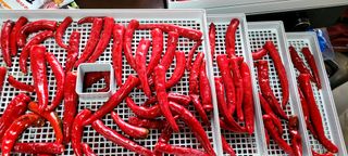 행복농장님의 자유주제 · 자유게시판 작성글 사진