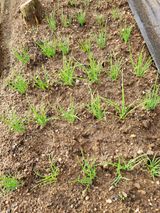 팜모닝 자유주제·자유게시판 게시글 이미지