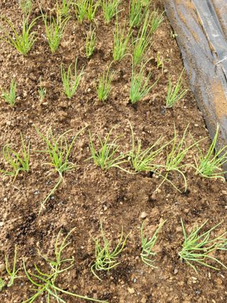 또비님의 자유주제 · 자유게시판 작성글 사진