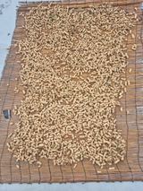 팜모닝 콩·영농일지 게시글 이미지