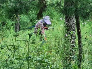 韓基學님의 기타작물 · 영농일지 작성글 사진