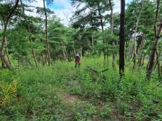 韓基學님의 기타작물 · 영농일지 작성글 사진