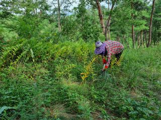 韓基學님의 기타작물 · 영농일지 작성글 사진