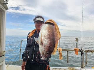 농촌의지킴님의 자유주제 · 자유게시판 작성글 사진