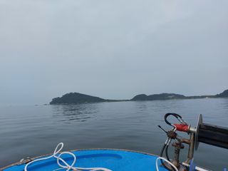 농촌의지킴님의 자유주제 · 자유게시판 작성글 사진