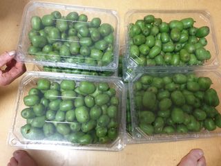 까치까치3161님의 장터이야기 · 자유게시판 작성글 사진