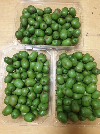 까치까치3161님의 장터이야기 · 자유게시판 작성글 사진