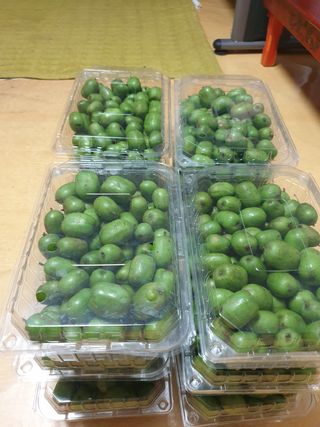 까치까치3161님의 장터이야기 · 자유게시판 작성글 사진