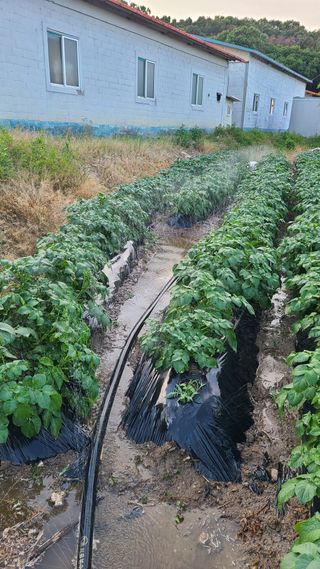 이은상님의 O학년 △반 이세요? · 참여글 작성글 사진