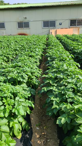 이은상님의 O학년 △반 이세요? · 참여글 작성글 사진