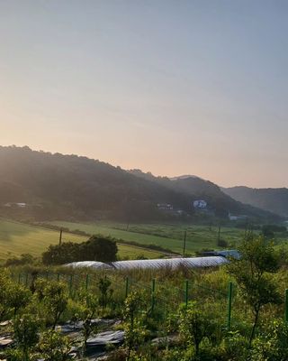 이앤허브님의 O학년 △반 이세요? · 참여글 작성글 사진