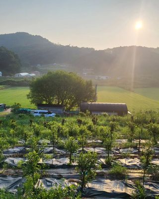 이앤허브님의 O학년 △반 이세요? · 참여글 작성글 사진