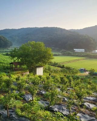 이앤허브님의 O학년 △반 이세요? · 참여글 작성글 사진