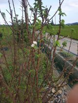 팜모닝 자유주제·자유게시판 게시글 이미지