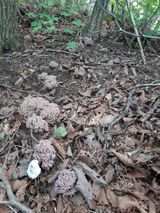 팜모닝 · 게시글 이미지