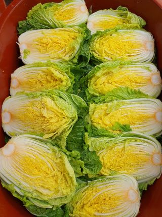 안비님의 O학년 △반 이세요? · 참여글 작성글 사진