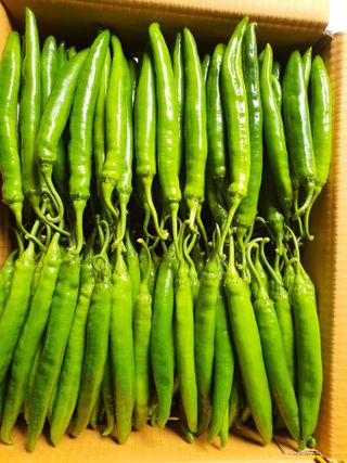 안비님의 O학년 △반 이세요? · 참여글 작성글 사진