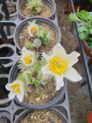 안비님의 O학년 △반 이세요? · 참여글 작성글 사진