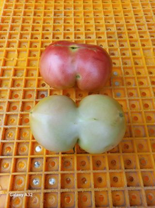 알 수 없음님의 O학년 △반 이세요? · 참여글 작성글 사진