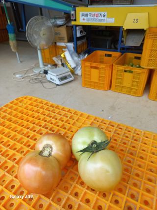 알 수 없음님의 O학년 △반 이세요? · 참여글 작성글 사진