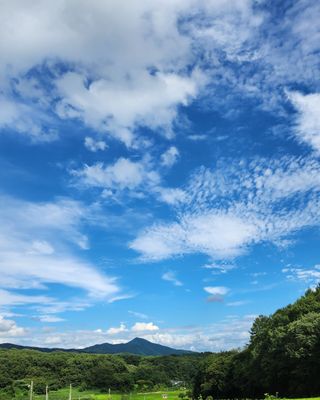 호두마루님의 복숭아 · 영농일지 작성글 사진