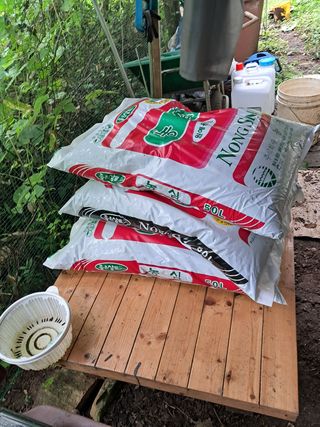 안창영님의 토마토 · 영농일지 작성글 사진