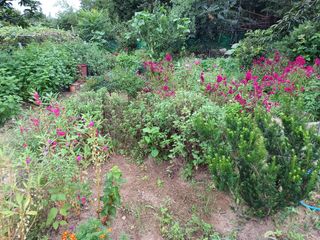 Charles Kang님의 O학년 △반 이세요? · 참여글 작성글 사진