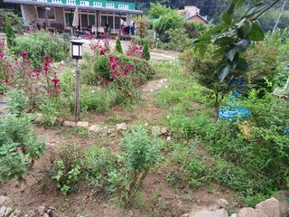 Charles Kang님의 O학년 △반 이세요? · 참여글 작성글 사진