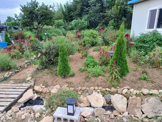 Charles Kang님의 O학년 △반 이세요? · 참여글 작성글 사진